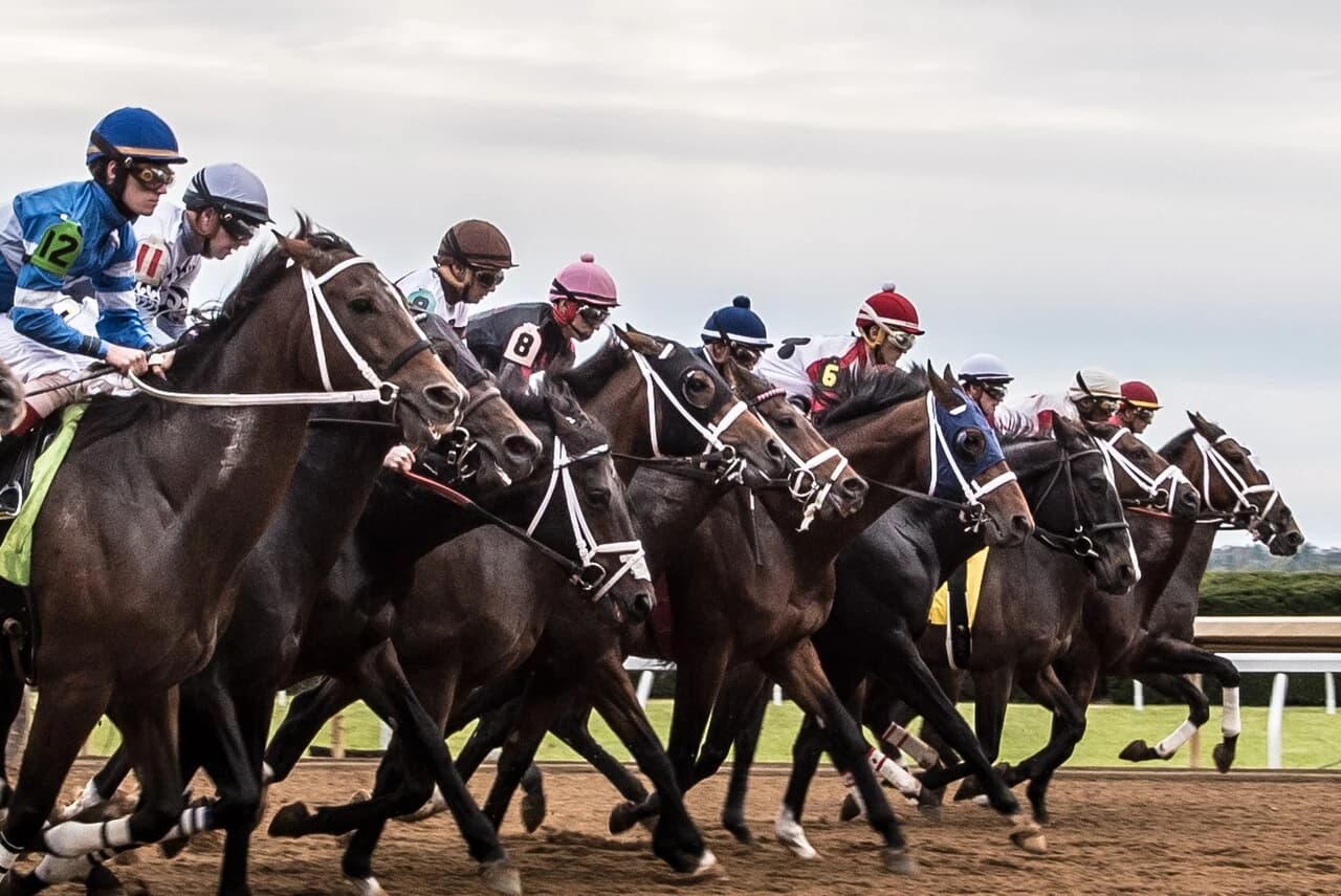 The Keeneland grandstand on a race day
