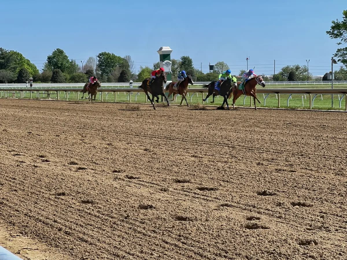 Thoroughbreds running at Keeneland Race Course